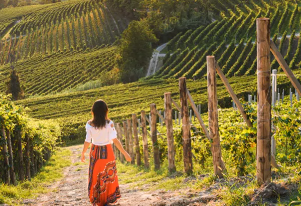 Where to go on holiday based on your favourite wine luxury travel