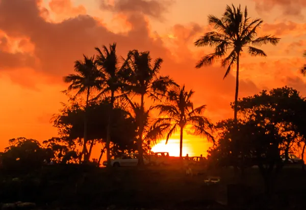 The Thrills of Cruising the South Pacific luxury travel