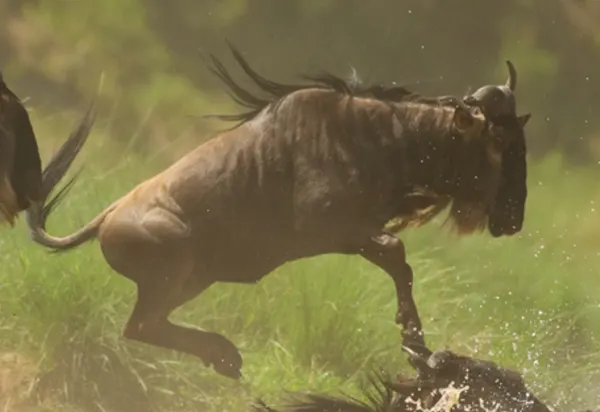 Choose your own Adventure luxury travel