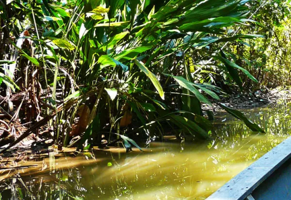 Top 10 Sunny Christmas Destinations luxury travel