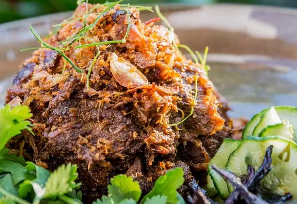 The Curated Plate - Culinary Festival luxury travel