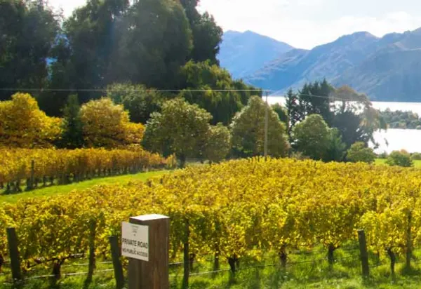 New Zealand: The Perfect Weekend Overseas Getaway luxury travel