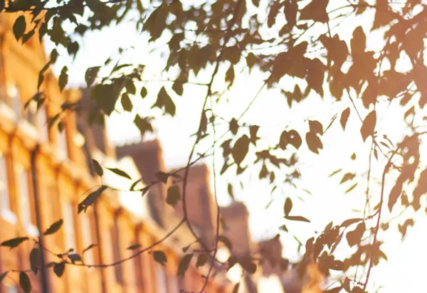 Chelsea: Beyond the Flowers and Football luxury travel