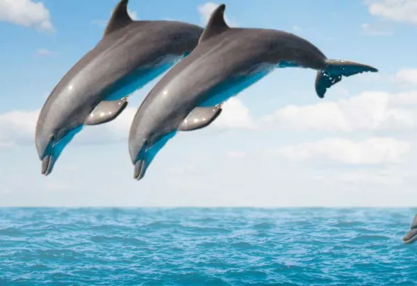 The Tahitian Island you've never heard of luxury travel