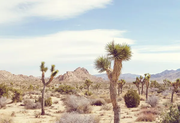 Why Greater Palm Springs should be on your horizon luxury travel