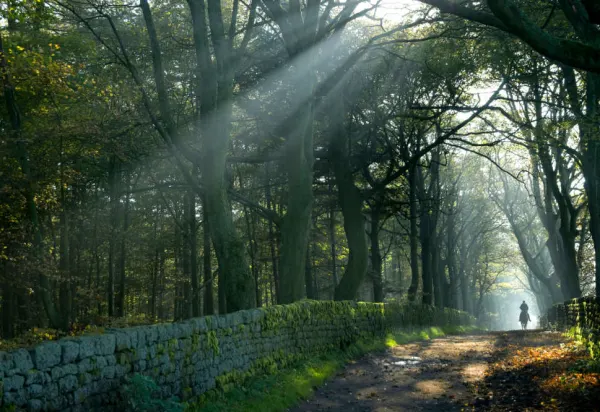 8 Best Riding Holidays In The UK & Ireland luxury travel