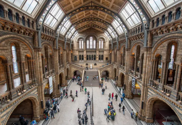 Go Enjoy The Bright Lights Of London luxury travel