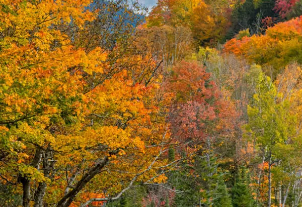 10 things to do outside New York City luxury travel