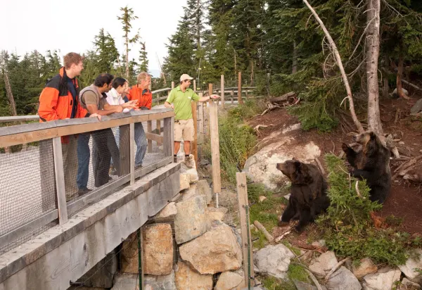 Spoilt By Vancouver's Nature luxury travel