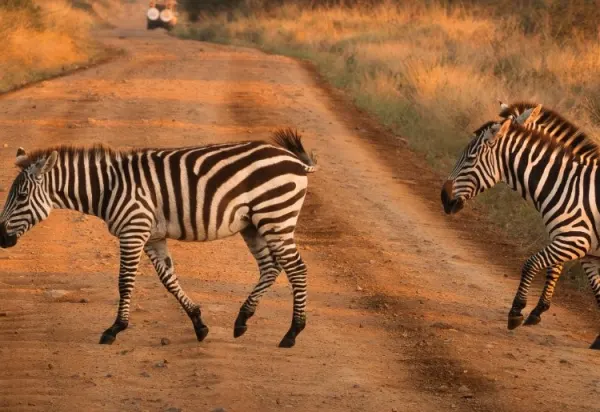 A&K Tanzania 