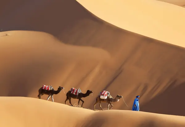Luxury Travel Sahara Desert, Morocco