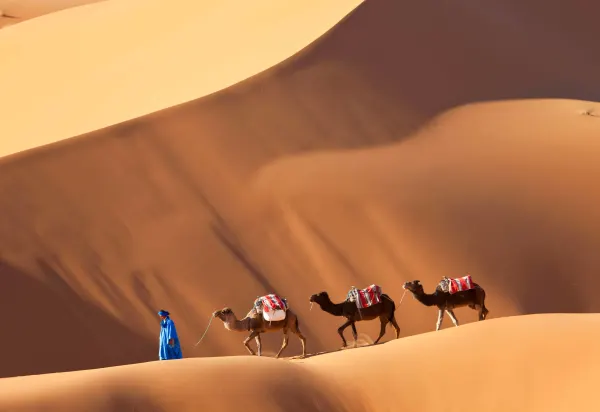 Sahara Desert luxury travel Morocco