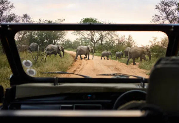 Luxury Travel Safari South Africa 