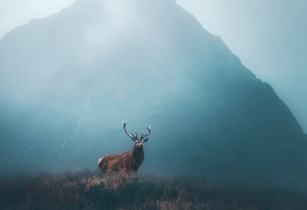 Scotland Luxury holiday Header Banner