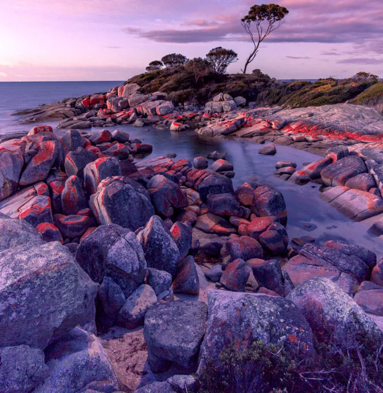 Bay of fires, Tasmania, luxury travel holiday, Australia