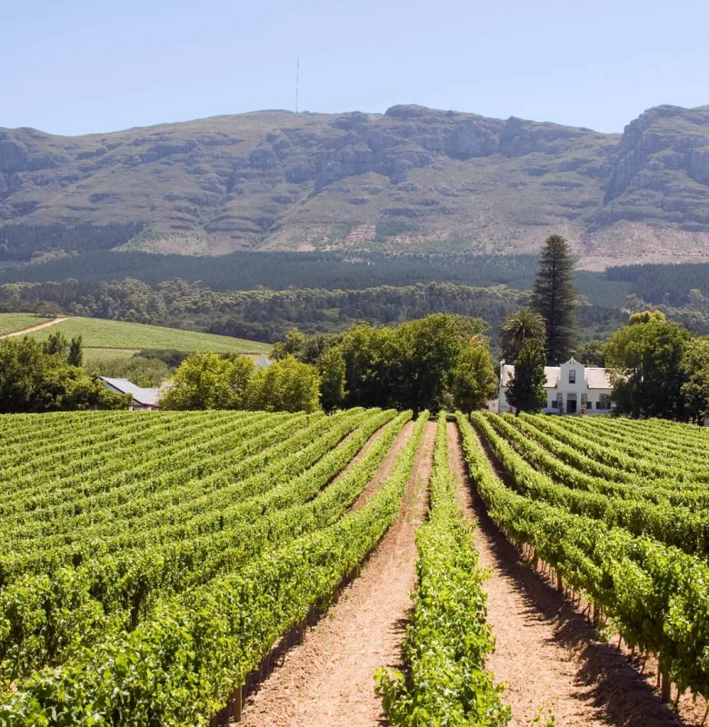 Stellenbosch, luxury travel holiday, South Africa
