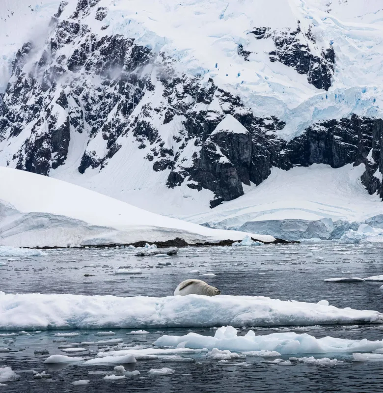 Lemaire Channel, luxury cruise holiday Antarctica