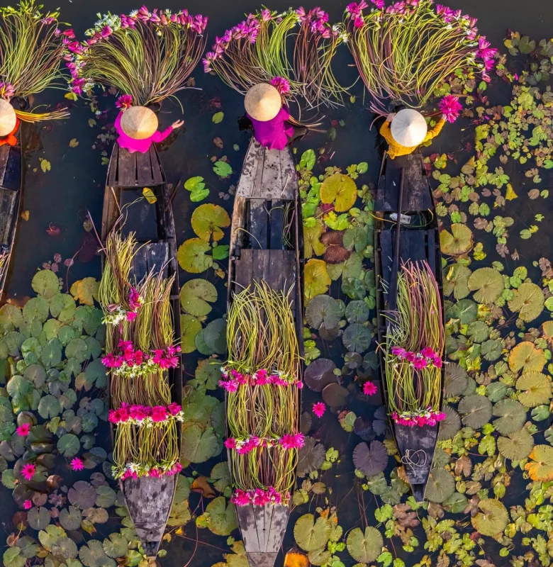 See Mekong Delta waterlilies on a luxury river cruise in Vietnam