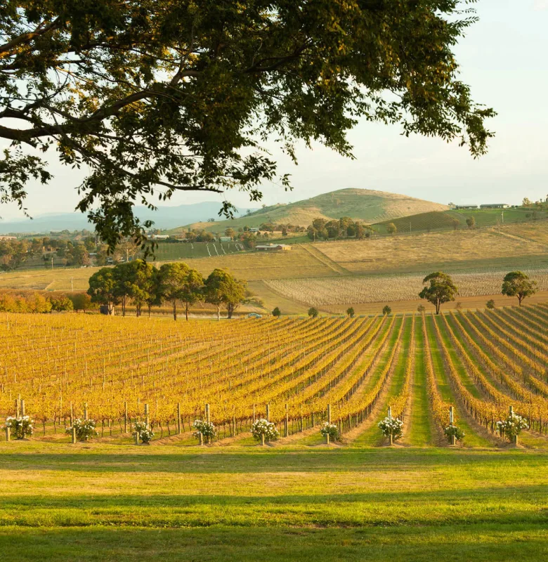 Yarra Valley, luxury travel holiday, Victoria, Australia