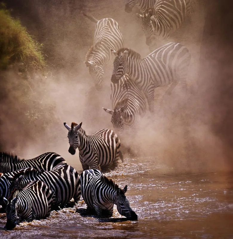 Witnessing the Great Migration on a luxury travel safari in Kenya