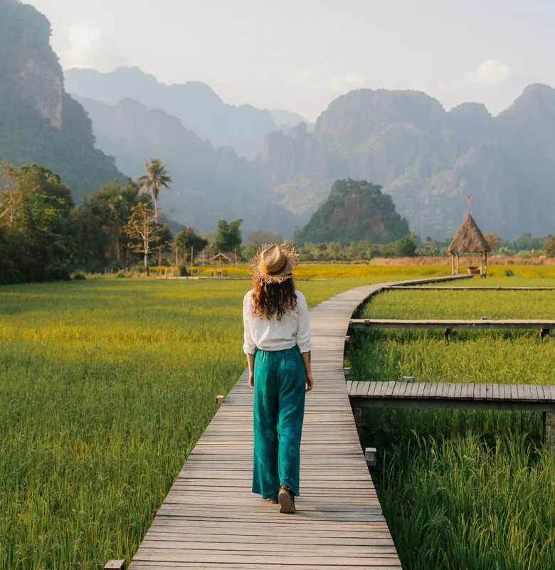 Luxury Travel: Rice paddy in Thailand