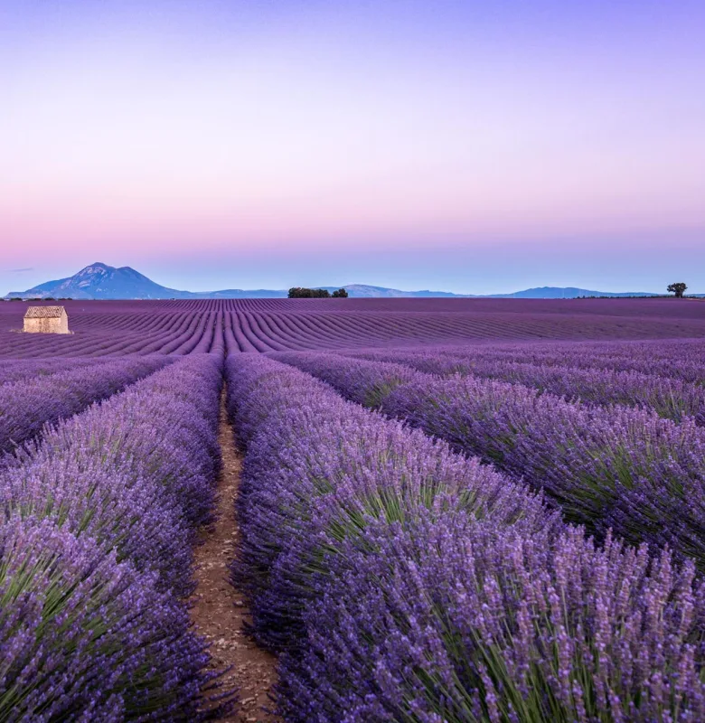 Provence France