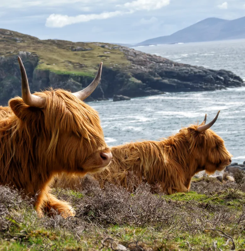 Scotland Luxury holiday POI 1 Para 1