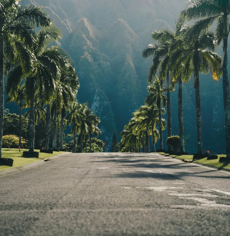 Hawaii, luxury travel holiday