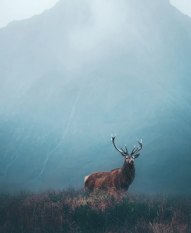 Scotland Luxury holiday Header Banner