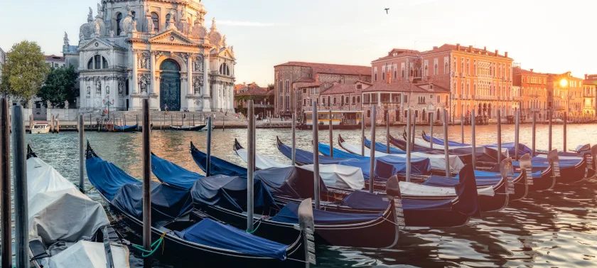 Stop 4 Venice