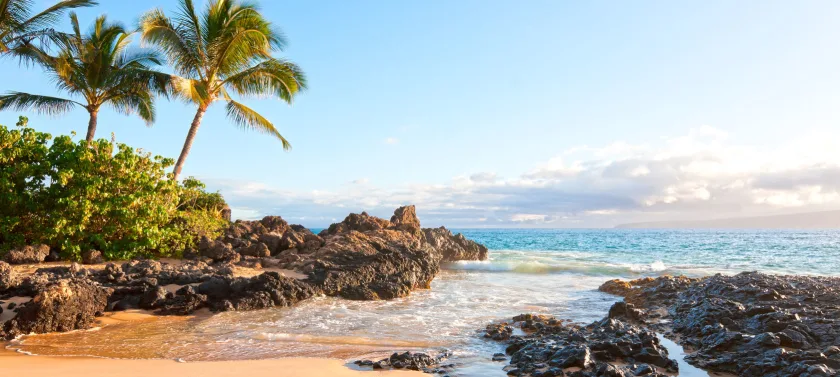 Stop 2 Maui