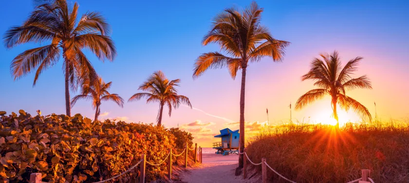 Stop 4 Miami
