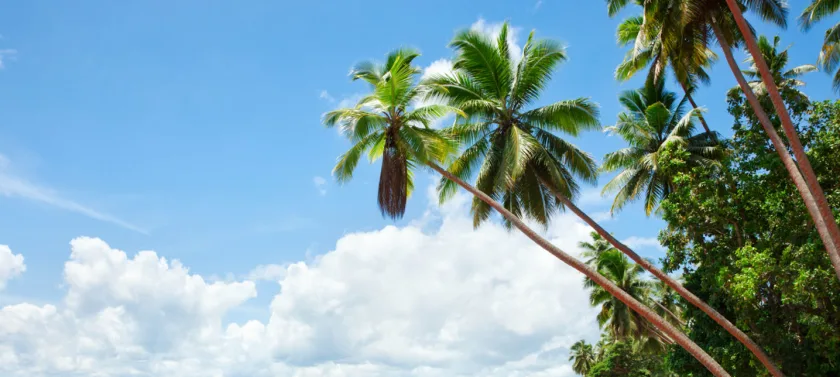 Stop 1 Fiji