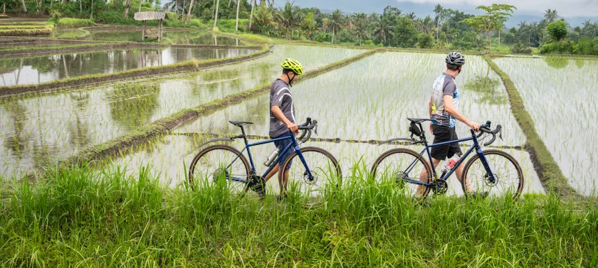 Day 7 & 8 Explore the rich marine life in Candi Dasa