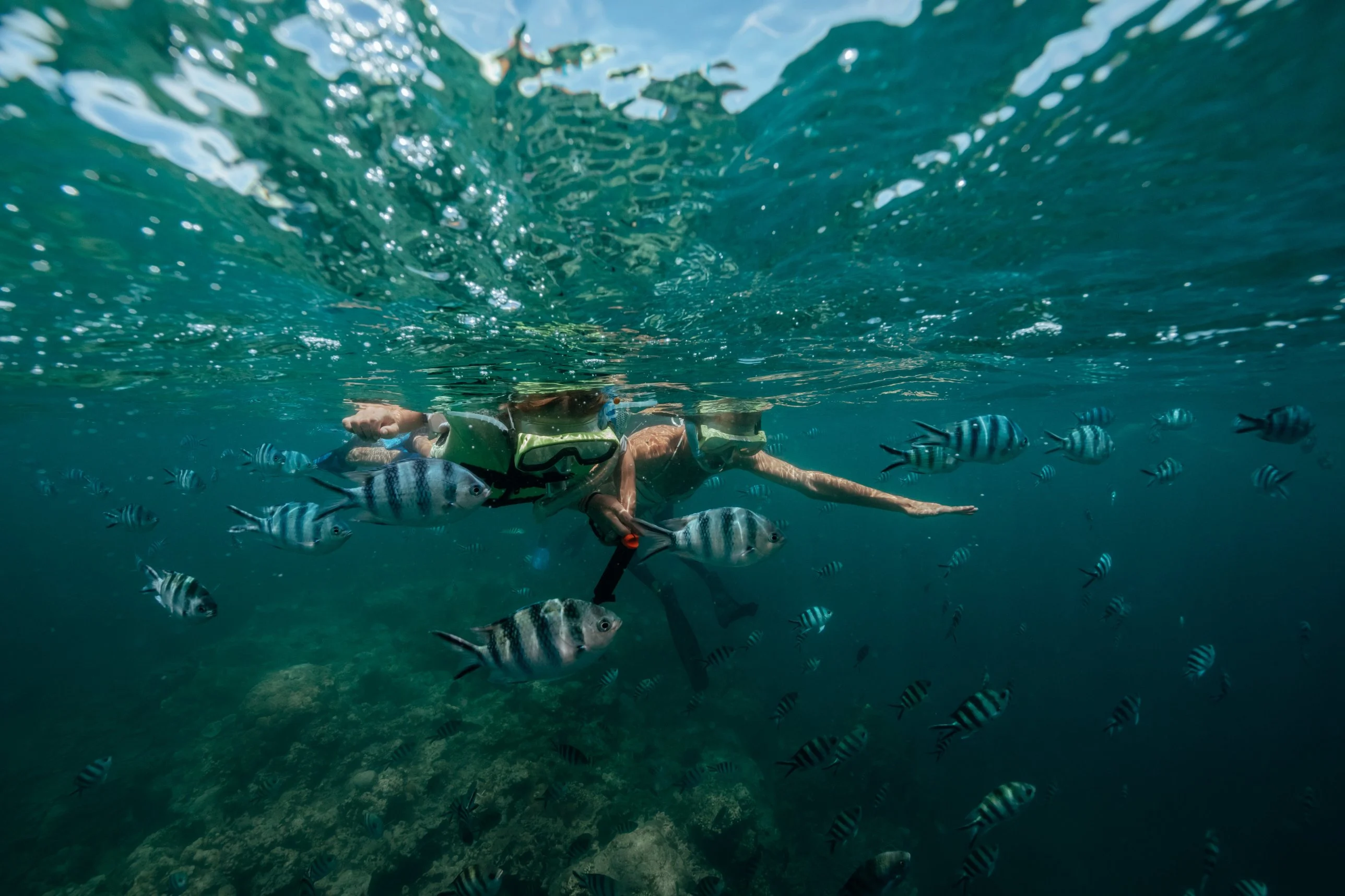 Fiji