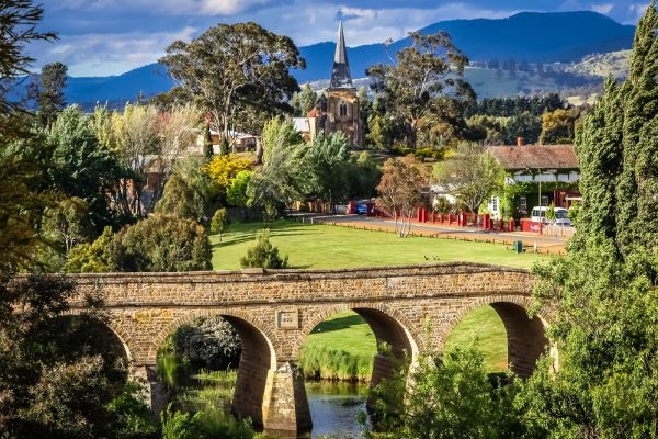Arch bridge with greenery surrounding and a house in the background