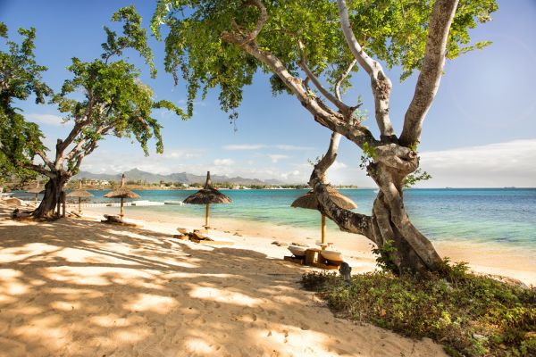 Behind shot of a beach with natural beach umbrellas in Mauritius
