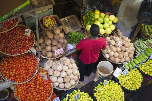 Outdoor markets selling coconuts, tomatoes, and other foods