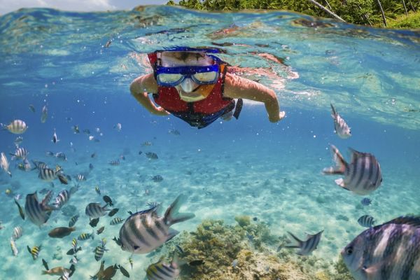 Child snorkeling on ocean surface with red life jacket on looking at stripped fish