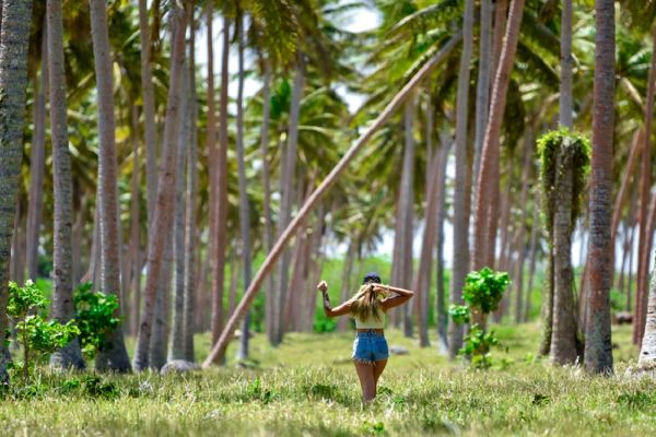 Woman walking through a line of palm trees