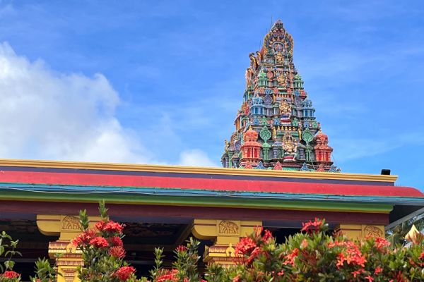 Top of Sri Siva Subramaniya Swami Temple