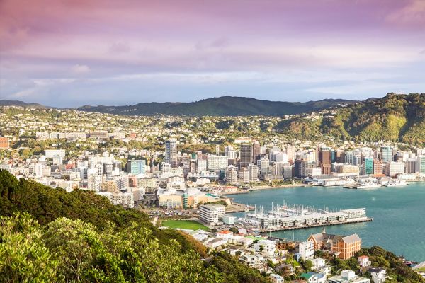 Distant view of city skyline in Wellington
