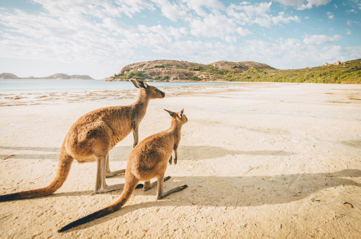 Australia Header Banner