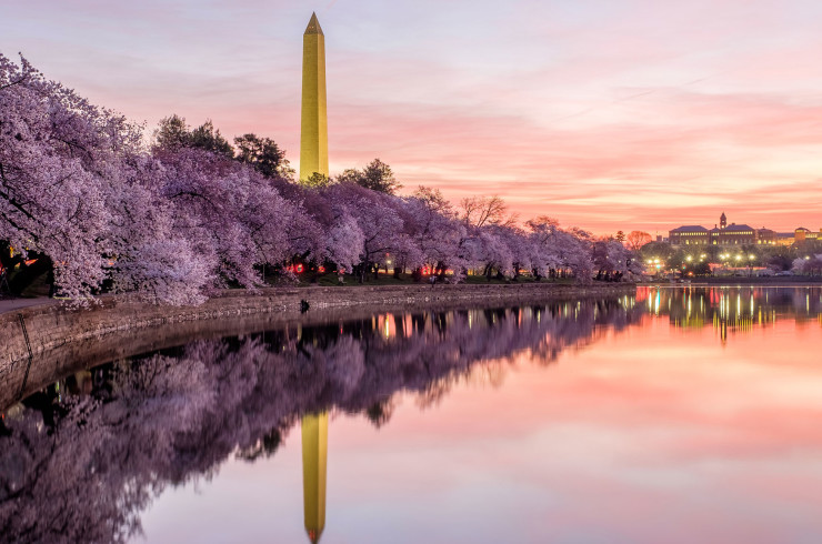 Washington DC Header Banner