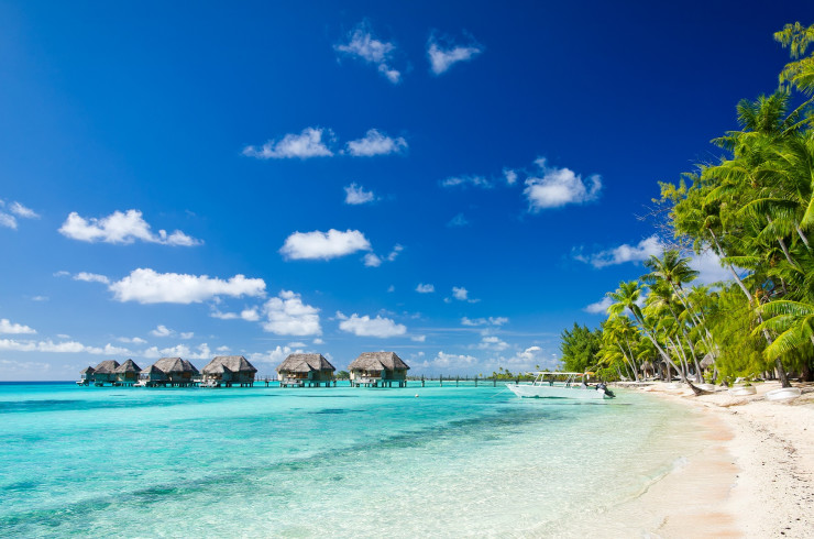 Tahiti Header Banner