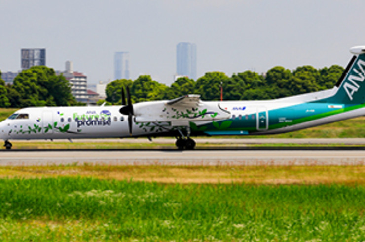 ANA - All Nippon Airways plane on a runway
