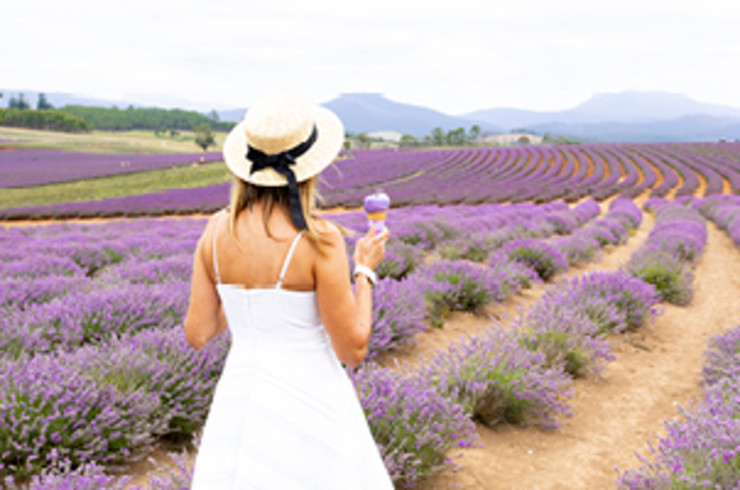Lady walking through lavender field with an ice cream.