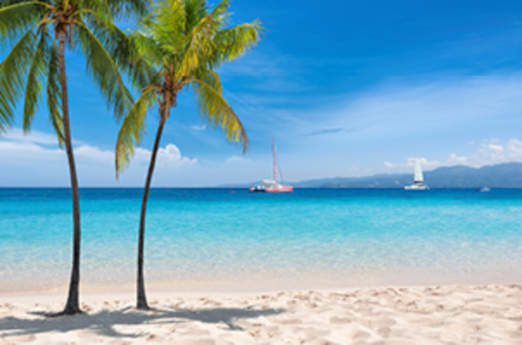 white sand beach with clear blue water and palm trees in montego bay