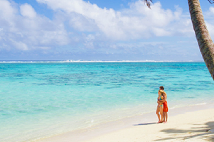 Standing along shoreline in front of a palm tree