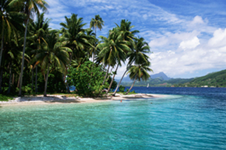 Clear water, white sandy beach and leafy palm trees